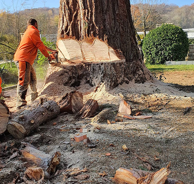 Paysagiste jardinier dans l’Aisne